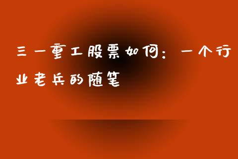 三一重工股票如何：一个行业老兵的随笔_https://m.yjjixie.cn_德指在线喊单直播室_第1张