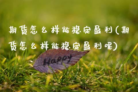 期货怎么样能稳定盈利(期货怎么样能稳定盈利呢)_https://m.yjjixie.cn_恒指期货直播间喊单_第1张