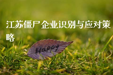 江苏僵尸企业识别与应对策略_https://m.yjjixie.cn_恒生指数直播平台_第1张