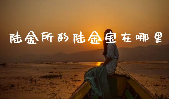 陆金所的陆金宝在哪里_https://m.yjjixie.cn_恒指期货直播间喊单_第1张