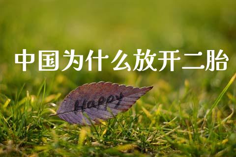 中国为什么放开二胎_https://m.yjjixie.cn_恒生指数直播平台_第1张