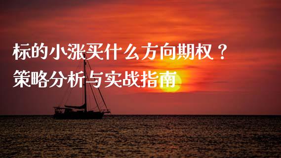 标的小涨买什么方向期权？策略分析与实战指南_https://m.yjjixie.cn_恒指期货直播间喊单_第1张