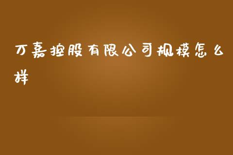 万嘉控股有限公司规模怎么样_https://m.yjjixie.cn_德指在线喊单直播室_第1张