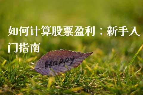 如何计算股票盈利：新手入门指南_https://m.yjjixie.cn_纳指直播间_第1张