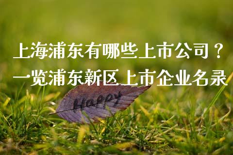 上海浦东有哪些上市公司？一览浦东新区上市企业名录_https://m.yjjixie.cn_恒指期货直播间喊单_第1张
