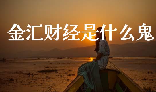 金汇财经是什么鬼_https://m.yjjixie.cn_恒指期货直播间喊单_第1张