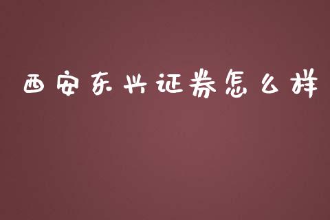 西安东兴证券怎么样_https://m.yjjixie.cn_德指在线喊单直播室_第1张