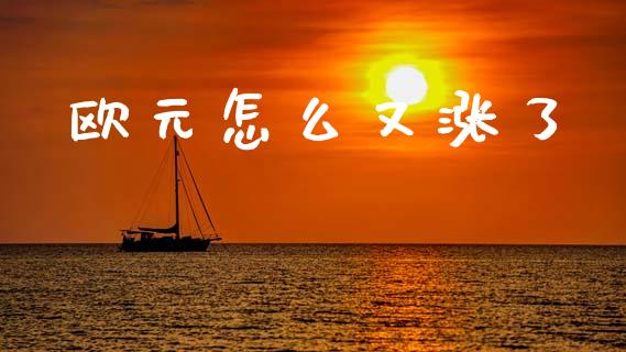 欧元怎么又涨了_https://m.yjjixie.cn_恒指期货直播间喊单_第1张