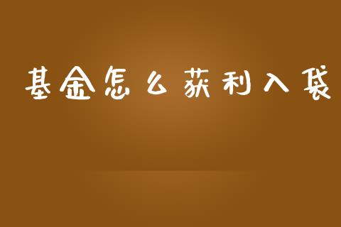 基金怎么获利入袋_https://m.yjjixie.cn_恒生指数直播平台_第1张