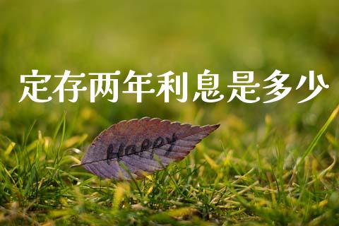 定存两年利息是多少_https://m.yjjixie.cn_纳指直播间_第1张