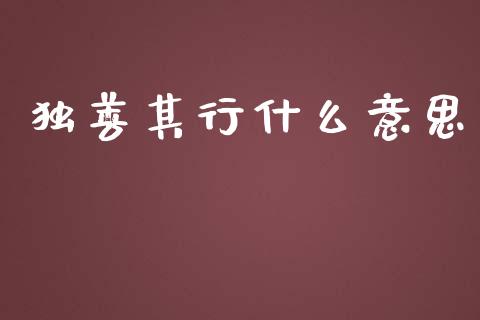 独善其行什么意思_https://m.yjjixie.cn_恒生指数直播平台_第1张