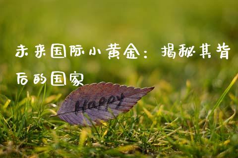 未来国际小黄金：揭秘其背后的国家_https://m.yjjixie.cn_德指在线喊单直播室_第1张
