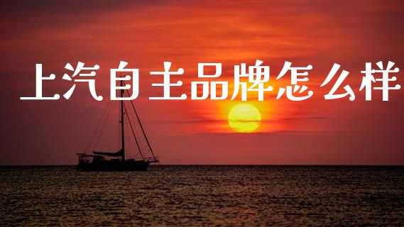上汽自主品牌怎么样_https://m.yjjixie.cn_德指在线喊单直播室_第1张