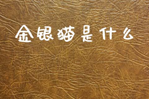 金银猫是什么_https://m.yjjixie.cn_恒生指数直播平台_第1张