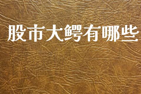 股市大鳄有哪些_https://m.yjjixie.cn_恒生指数直播平台_第1张