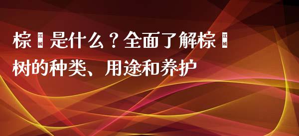 棕榈是什么？全面了解棕榈树的种类、用途和养护_https://m.yjjixie.cn_恒指期货直播间喊单_第1张
