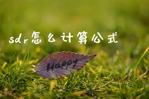 sdr怎么计算公式_https://m.yjjixie.cn_德指在线喊单直播室_第1张