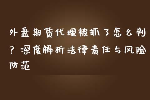 外盘期货代理被抓了怎么判？深度解析法律责任与风险防范_https://m.yjjixie.cn_恒生指数直播平台_第1张