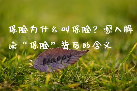 保险为什么叫保险？深入解读“保险”背后的含义_https://m.yjjixie.cn_德指在线喊单直播室_第1张