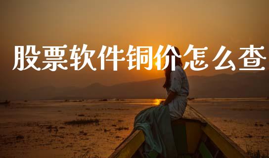 股票软件铜价怎么查_https://m.yjjixie.cn_恒生指数直播平台_第1张