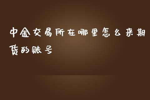 中金交易所在哪里怎么来期货的账号_https://m.yjjixie.cn_恒生指数直播平台_第1张