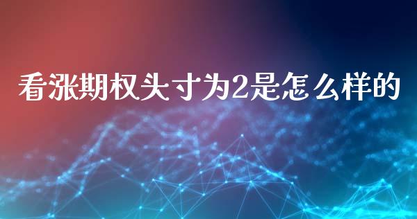 看涨期权头寸为2是怎么样的_https://m.yjjixie.cn_纳指直播间_第1张