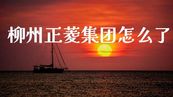 柳州正菱集团怎么了_https://m.yjjixie.cn_纳指直播间_第1张
