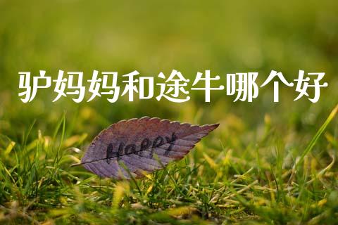 驴妈妈和途牛哪个好_https://m.yjjixie.cn_德指在线喊单直播室_第1张