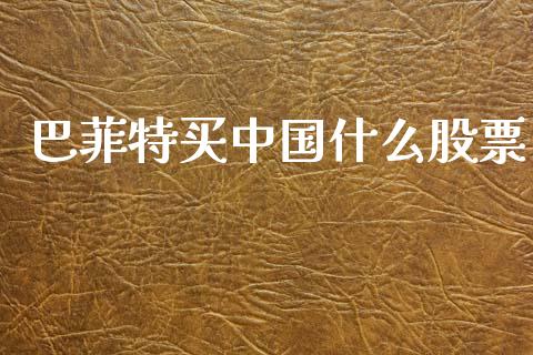 巴菲特买中国什么股票_https://m.yjjixie.cn_恒生指数直播平台_第1张