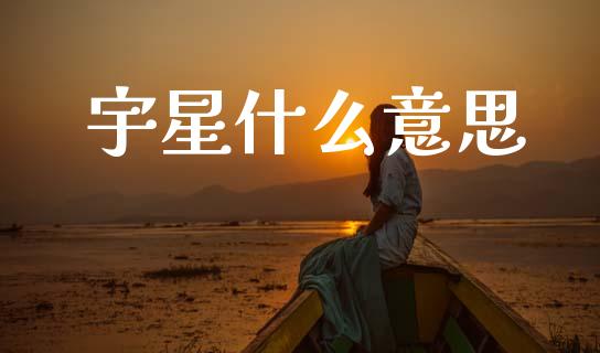宇星什么意思_https://m.yjjixie.cn_恒生指数直播平台_第1张