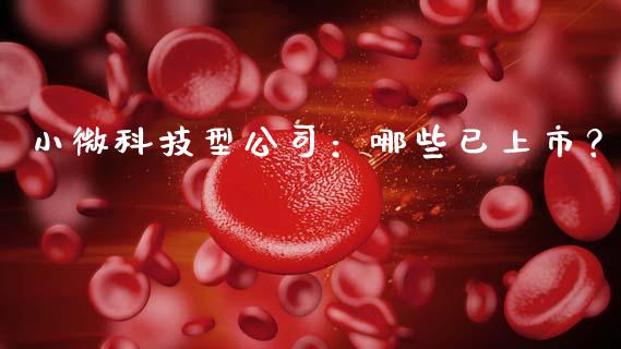 小微科技型公司：哪些已上市？_https://m.yjjixie.cn_恒指期货直播间喊单_第1张