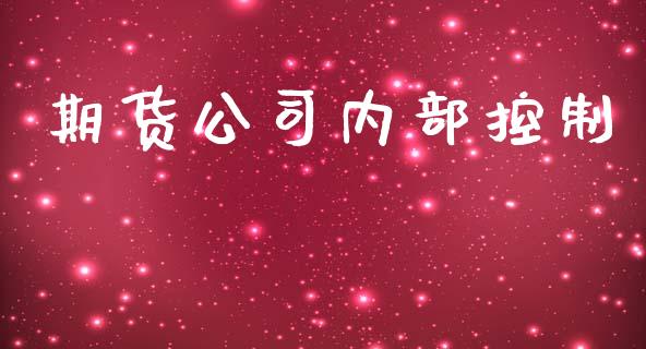 期货公司内部控制_https://m.yjjixie.cn_恒指期货直播间喊单_第1张