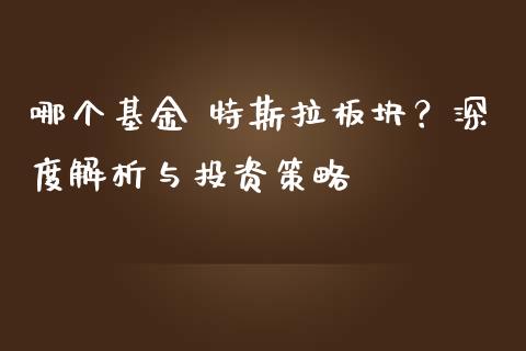 哪个基金 特斯拉板块？深度解析与投资策略_https://m.yjjixie.cn_德指在线喊单直播室_第1张