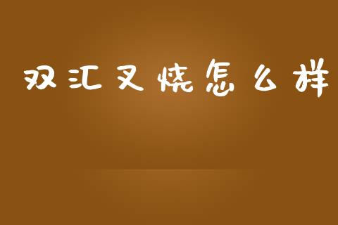 双汇叉烧怎么样_https://m.yjjixie.cn_纳指直播间_第1张