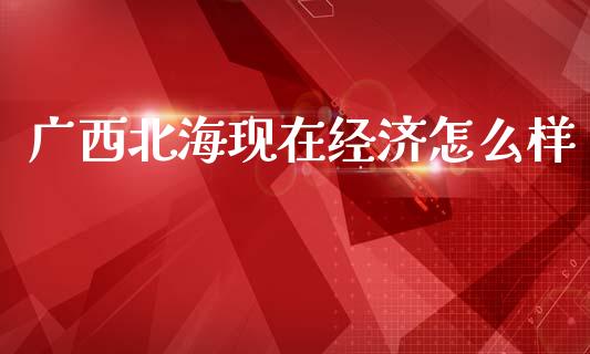 广西北海现在经济怎么样_https://m.yjjixie.cn_恒指期货直播间喊单_第1张