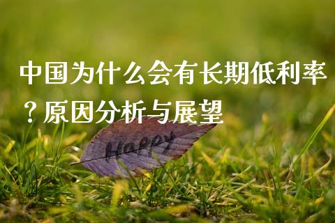 中国为什么会有长期低利率？原因分析与展望_https://m.yjjixie.cn_恒指期货直播间喊单_第1张