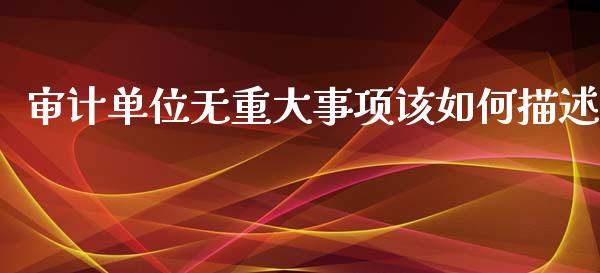 审计单位无重大事项该如何描述_https://m.yjjixie.cn_恒生指数直播平台_第1张