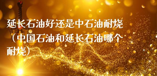 延长石油好还是中石油耐烧（中国石油和延长石油哪个耐烧）_https://m.yjjixie.cn_恒指期货直播间喊单_第1张