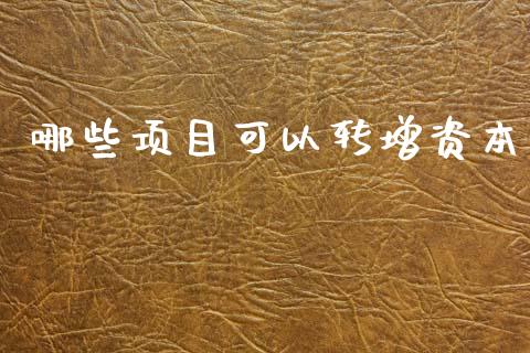 哪些项目可以转增资本_https://m.yjjixie.cn_恒生指数直播平台_第1张