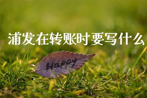 浦发在转账时要写什么_https://m.yjjixie.cn_恒生指数直播平台_第1张