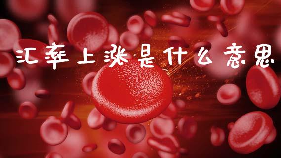 汇率上涨是什么意思_https://m.yjjixie.cn_恒生指数直播平台_第1张