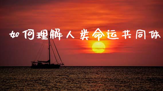 如何理解人类命运共同体_https://m.yjjixie.cn_德指在线喊单直播室_第1张