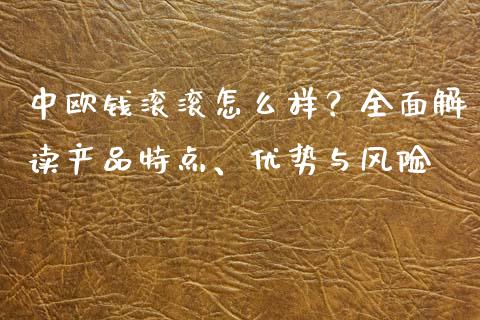 中欧钱滚滚怎么样?全面解读产品特点、优势与风险_恒指期货直播间喊单_第1张_恒生指数直播平台_恒指期货直播间喊单_德指在线喊单直播室_纳指直播间 中欧钱滚滚怎么样?全面解读产品特点、优势与风险_https://m.yjjixie.cn_恒指期货直播间喊单_第1张