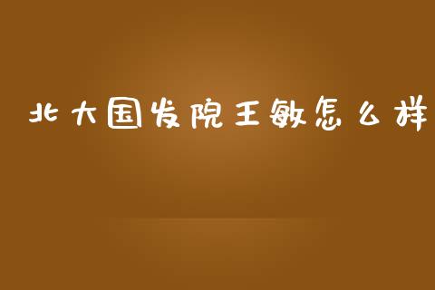 北大国发院王敏怎么样_https://m.yjjixie.cn_纳指直播间_第1张