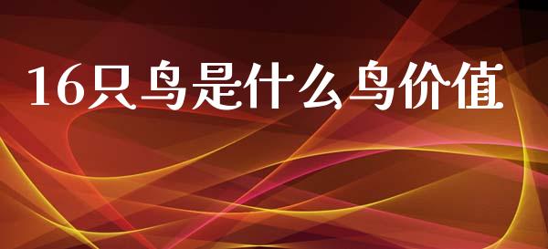 16只鸟是什么鸟价值_https://m.yjjixie.cn_德指在线喊单直播室_第1张