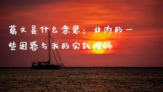 葛文是什么意思：业内的一些困惑与我的实践理解_https://m.yjjixie.cn_纳指直播间_第1张