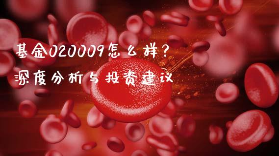 基金020009怎么样？深度分析与投资建议_https://m.yjjixie.cn_恒生指数直播平台_第1张