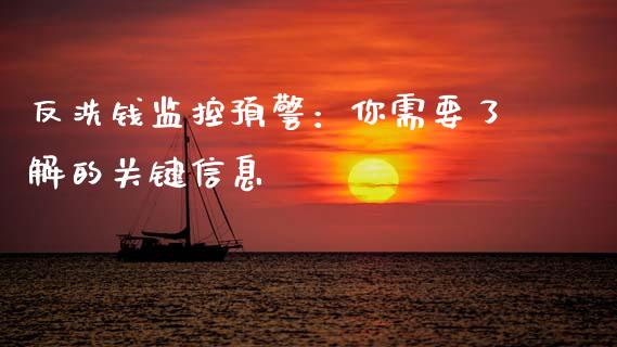 反洗钱监控预警：你需要了解的关键信息_https://m.yjjixie.cn_德指在线喊单直播室_第1张