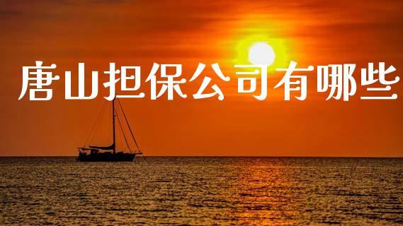 唐山担保公司有哪些_https://m.yjjixie.cn_恒指期货直播间喊单_第1张
