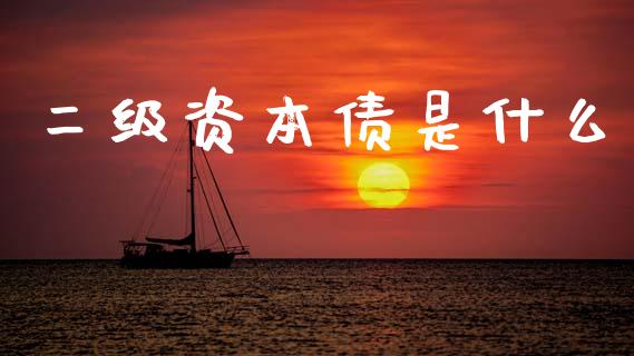 二级资本债是什么_https://m.yjjixie.cn_恒生指数直播平台_第1张
